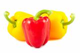 Red and yellow sweet peppers
