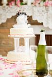 Gay Marriage - Wedding Cake