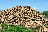A lot of firewood