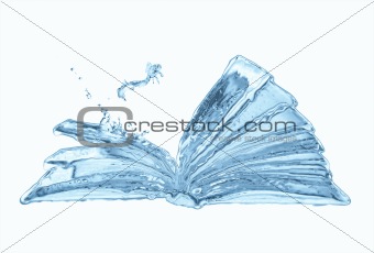 water book and small jumping fish isolated on white