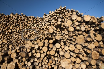 Sky blue pile of wood
