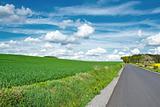 Beautiful summer rural landscape with road