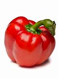 red Bulgarian pepper
