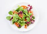 vegetables salad on a plate closeup
