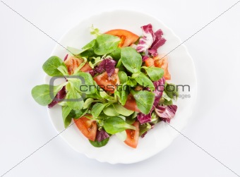 vegetables salad on a plate closeup
