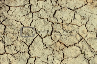 Cracks in the dried ground