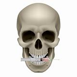 Realistic skull with a cigarette