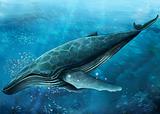 undersea - swimming whale 2