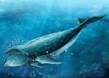 undersea - swimming whale 1