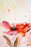 Watercolor background with red flower