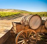 Grape Vineyard with Vintage Barrel Carriage Wagon
