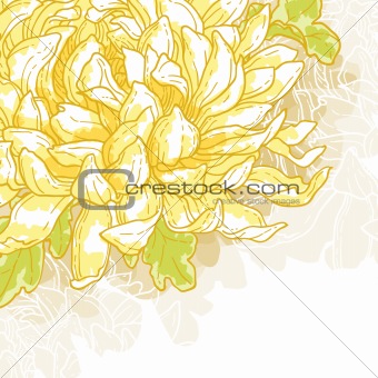 Romantic vector background with chrysanthemum