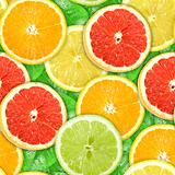 Seamless pattern with motley citrus-fruit slices