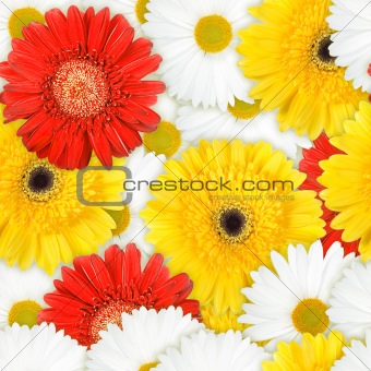 Seamless background of motley flowers