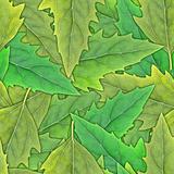 Seamless pattern of green leafs