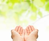 child hands hold over green leaves background