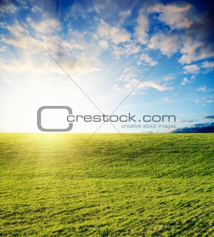 field of grass and cloudy sky on sunset