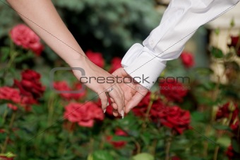  hands of the bride and groom 