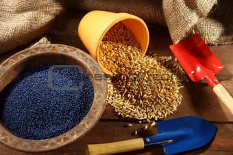 colored sowing seed