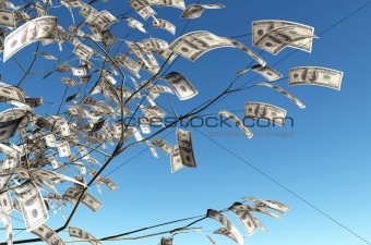 100 dollars banknote instead of the leaves