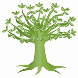 Green Eco Tree Illustration