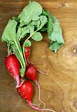 bunch of red ripe radish on wooden background