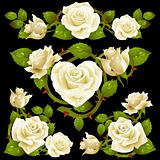 White Rose design elements