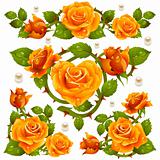 Orange Rose design elements