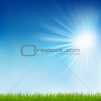 Green Grass And Sun Beam