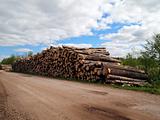 Logs stack