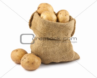 Raw potatoes in burlap sack