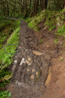 muddy eroded trail, Oregon