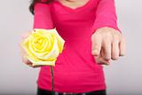 yellow rose for you