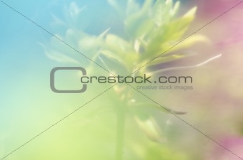 abstract color background graphic image