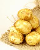 Fresh new potatoes on the natural background