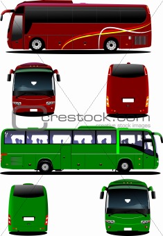 Two city buses. Tourist coach. Vector illustration for designers