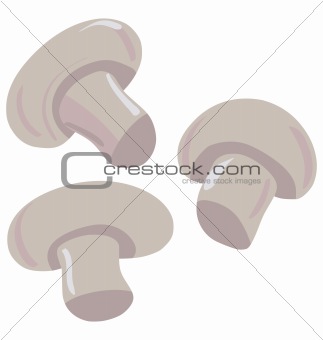 white mushrooms or champignons