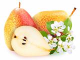 Pears with green leaf and flowers