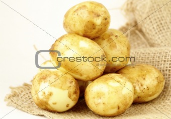 Fresh new potatoes on the natural background