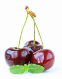 ripe juicy cherries on a white background