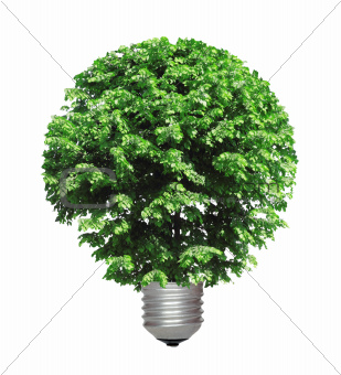 tree growing from the base of the light bulb