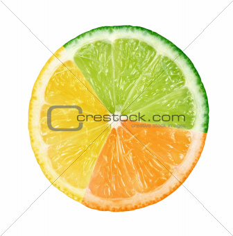 Abstract multicolored fruit