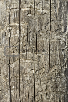 Old wooden damaged surface