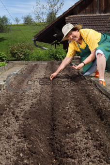 Retired woman planting seeds