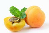 ripe juicy fruit apricot on white background