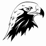 Tattoos. Eagle's head