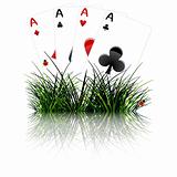 four aces behind grass reflected
