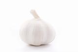 Fresh single garlic on white background