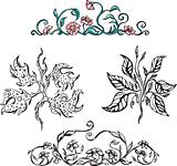 Floral ornamental patterns