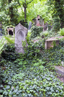 An old cemetery